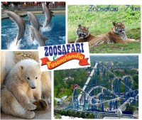 /album/immagini/fasanolandia-mod-jpg1/